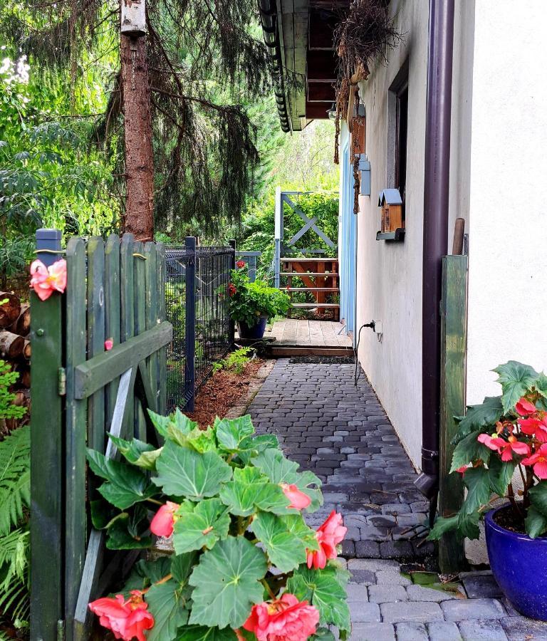 Apartament Drozdzikowka Żywiec 外观 照片