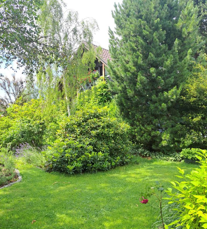 Apartament Drozdzikowka Żywiec 外观 照片