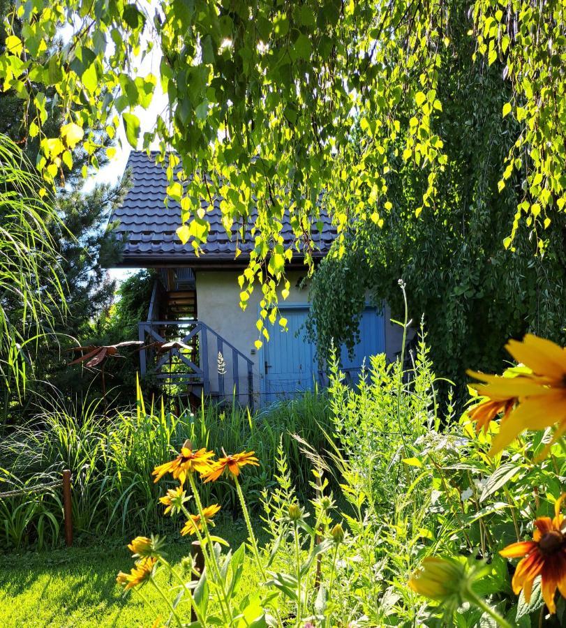 Apartament Drozdzikowka Żywiec 外观 照片