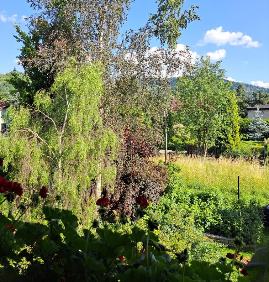 Apartament Drozdzikowka Żywiec 外观 照片