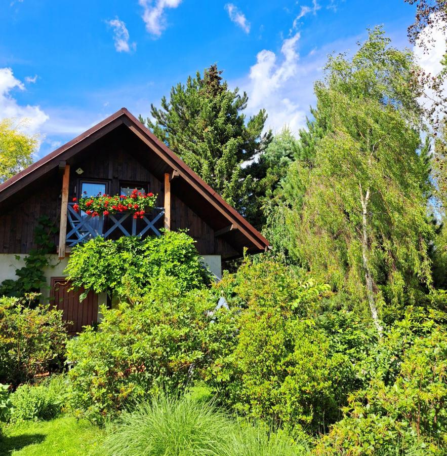 Apartament Drozdzikowka Żywiec 外观 照片